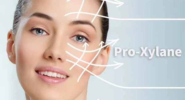 Pro-Xylane powder function Pro-Xylane powder function